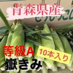 朝採れ嶽きみ2L 恵　等級Aとうもろこし10本入りのサムネイル