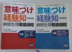 意味づけ経験知でわかる病態生理看護過程 上巻 /下巻のサムネイル
