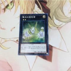 聖光の宣告者 値下げしました プロフ必読のサムネイル
