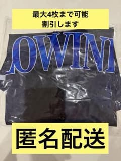 福井ブローウィンズ開幕戦 入場特典 ベースボールシャ未使用のサムネイル