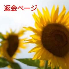 返金ページのサムネイル