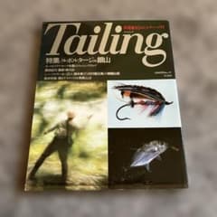 Tailing lure fly fishing mountain stream mainstream