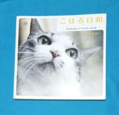 こはる日和 : うちのおしゃべり4にゃんず にゃんずの可愛い日常写真