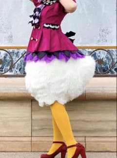 ひののん様専用ページ　ディズニー　仮装　ハロウィン　ドナルド　デイジーのサムネイル