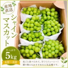 長野県産　シャインマスカット大房5キロのサムネイル