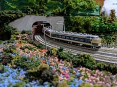 KATO583系　日本海51号　9両編成青森運転所 583系KATO 日本海51号 9両編成青森運転所 - メルカリ