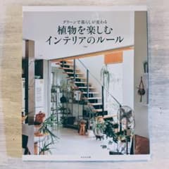 植物を楽しむインテリアのルールのサムネイル