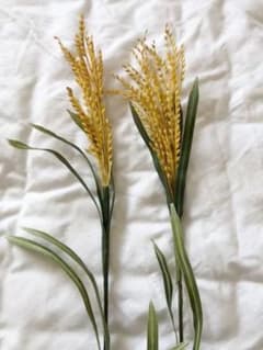 レキシ 稲穂2本セットのサムネイル