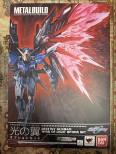 METAL BUILD ZGMF-X42S デスティニーガンダム 光の翼オプシ… - メルカリ