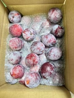 山形産スモモプラム　プルート箱込み5k詰め　訳あり家庭用 秀品込み❗️ほぼ秀品❗️のサムネイル