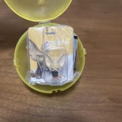 주트 피어 블리스터 매력 컬렉션