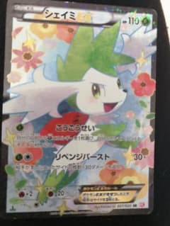 ポケモンカード シェイミEXのサムネイル