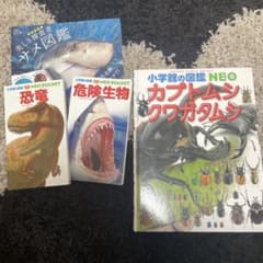 小学館の図鑑NEO 図鑑セット 恐竜 危険生物 カブトムシのサムネイル