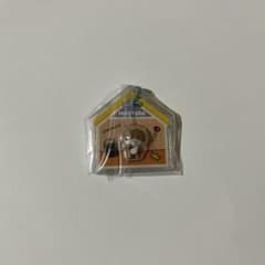 MINITEEN パッケージチャーム CHANDALEE ディノ キーホルダーのサムネイル