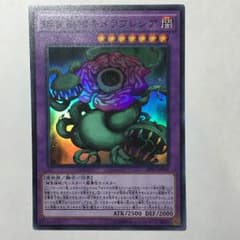 捕食植物キメラフレシア  スーパーのサムネイル