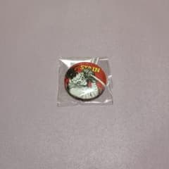 ステイン オールスター 全サ Petit 缶バッジ ヒロアカ - メルカリ