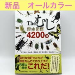 m66549009992_1.jpg?1733880010