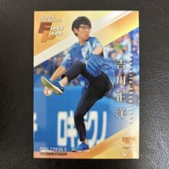 BBM 2025 fusion 始球式カード ダーリンハニー 吉川正洋 - メルカリ