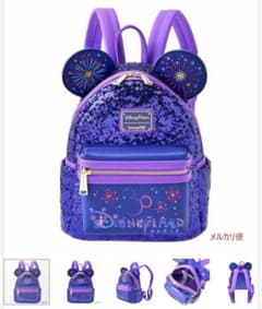 海外 ディズニーランドパリ 30周年 ラウンジフライ 新品未使用未開封 