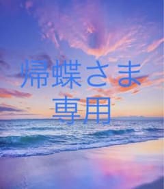 ニワトリ　インテリア置物　雑貨小物　店舗装飾　アイアン　ニワトリオブジェのサムネイル