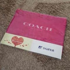コーチ オリジナルポーチのサムネイル