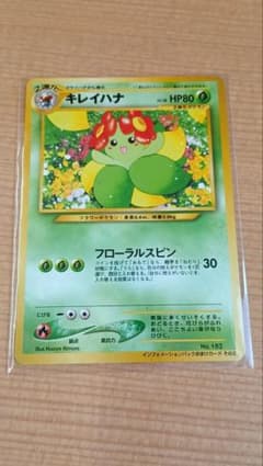 ポケモンカード キレイハナ インフォメーションパック　旧裏のサムネイル