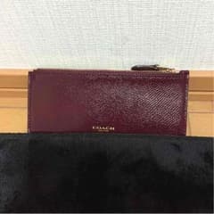 コーチ ミニポーチのサムネイル