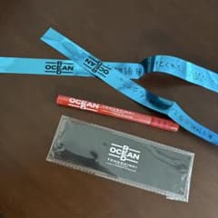 東方神起 日産スタジアムRED OCEAN 銀テープブルー ペンライト セット