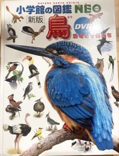 小学館の図鑑 NEO 鳥（新版）【DVD付き】のサムネイル
