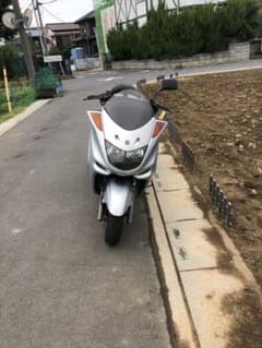 マジェスティのサムネイル