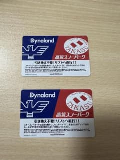 高鷲スノーパーク&ダイナランド　共通1日リフト券　2枚のサムネイル
