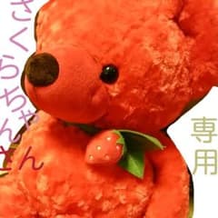 さくらちゃんさん専用　ご当地ベアー　栃木　ぬいぐるみのサムネイル
