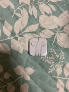 Apple純正イヤホンのサムネイル