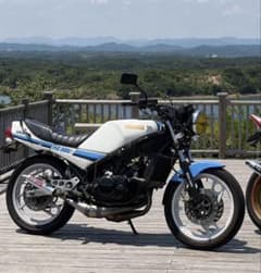RZ250R（29l） レストア車両　極上車のサムネイル
