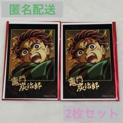 鬼滅の刃 ティザービジュアル第1弾 ランダムチェキ風ブロマイド 竈門炭