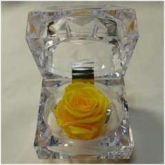 美品★プリザーブドフラワーのサムネイル