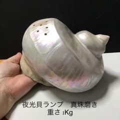 夜光貝 真珠磨きランプ オブジェ 重さ1Kg - メルカリ