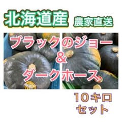 【北海道産 農家直送】数量限定！ブラックのジョー＆ダークホース 10キロのサムネイル