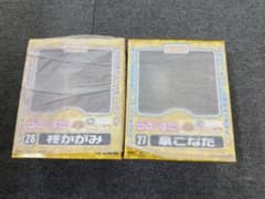 ねんどろいど「らきすた」 泉こなた 柊かがみ 埼玉新聞65周年記念 2体