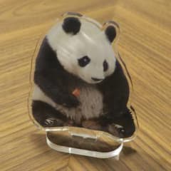PANDA KENJIセットのサムネイル