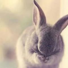 ソフィー様返金用のサムネイル