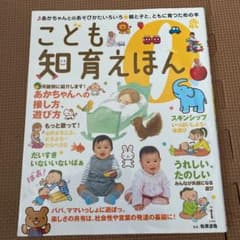 こども知育えほん 0歳 あかちゃんとのあそびかたいろいろのサムネイル