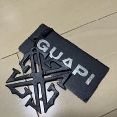 GUAPI タグのサムネイル