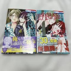 野良猫と狼 3巻 4巻 セット ミユキ蜜蜂のサムネイル