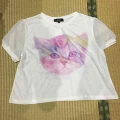ちむ◆プロフ必読!!◆様専用のサムネイル