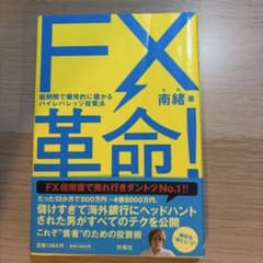 FX革命！ 短期間で爆発的に儲かるハイレバレッジ投資法 南緒のサムネイル