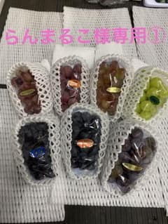 らんまるこ様専用①よりどり詰合せと訳ありシナノスイート - メルカリ