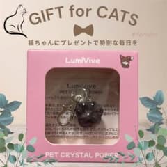 新品 犬 猫 首輪チャーム 天然水晶 肉球 パープル 小物 チャーム