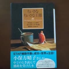 ​【美品・帯付き】ちいさなちいさな王様 アクセル・ハッケ ミヒャエル・ゾーヴァのサムネイル
