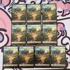 MTG 平地 10枚 英語 チョコボ・トラックfoil FF チョコボバンドル